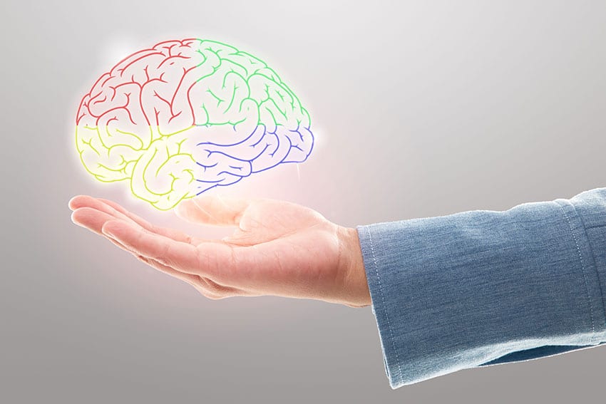 a hand holding up a multi colored brain
